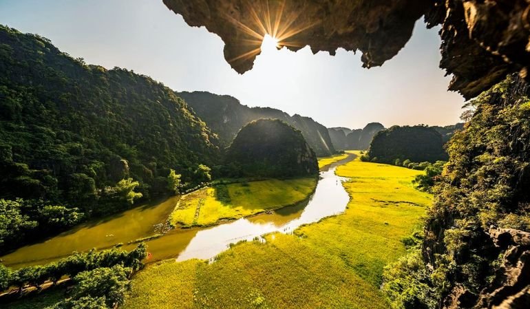 Tam Coc Rice Harvest Time: The Golden Season You Can’t Miss in Vietnam