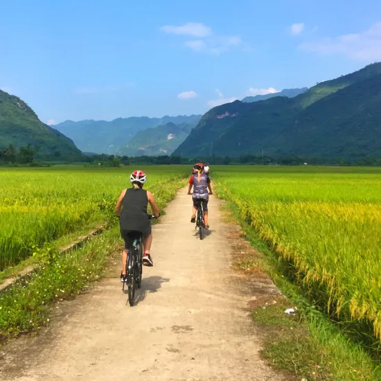 Cycling Vietnam North to South: The Ultimate Adventure from Mountains to Mekong