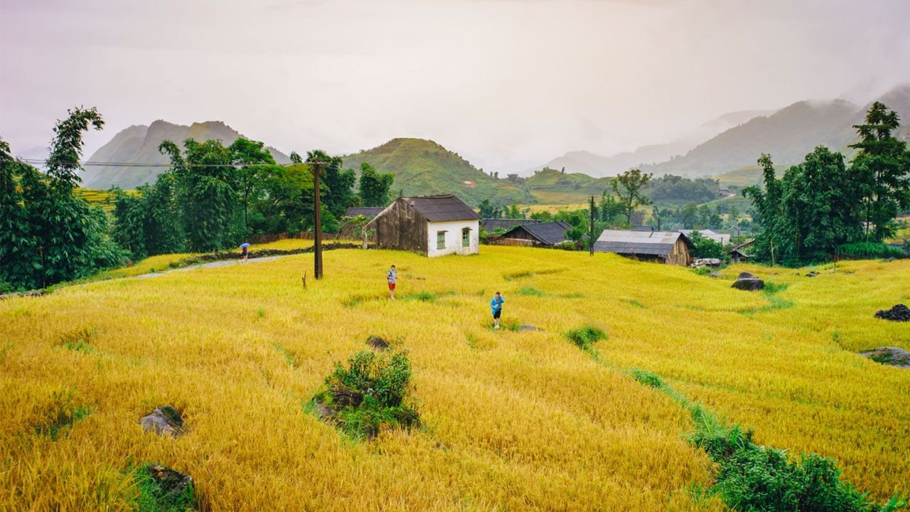 The Infinite Ridge: A Definitive Guide to Planning Your Ninh Binh Cycling Tour