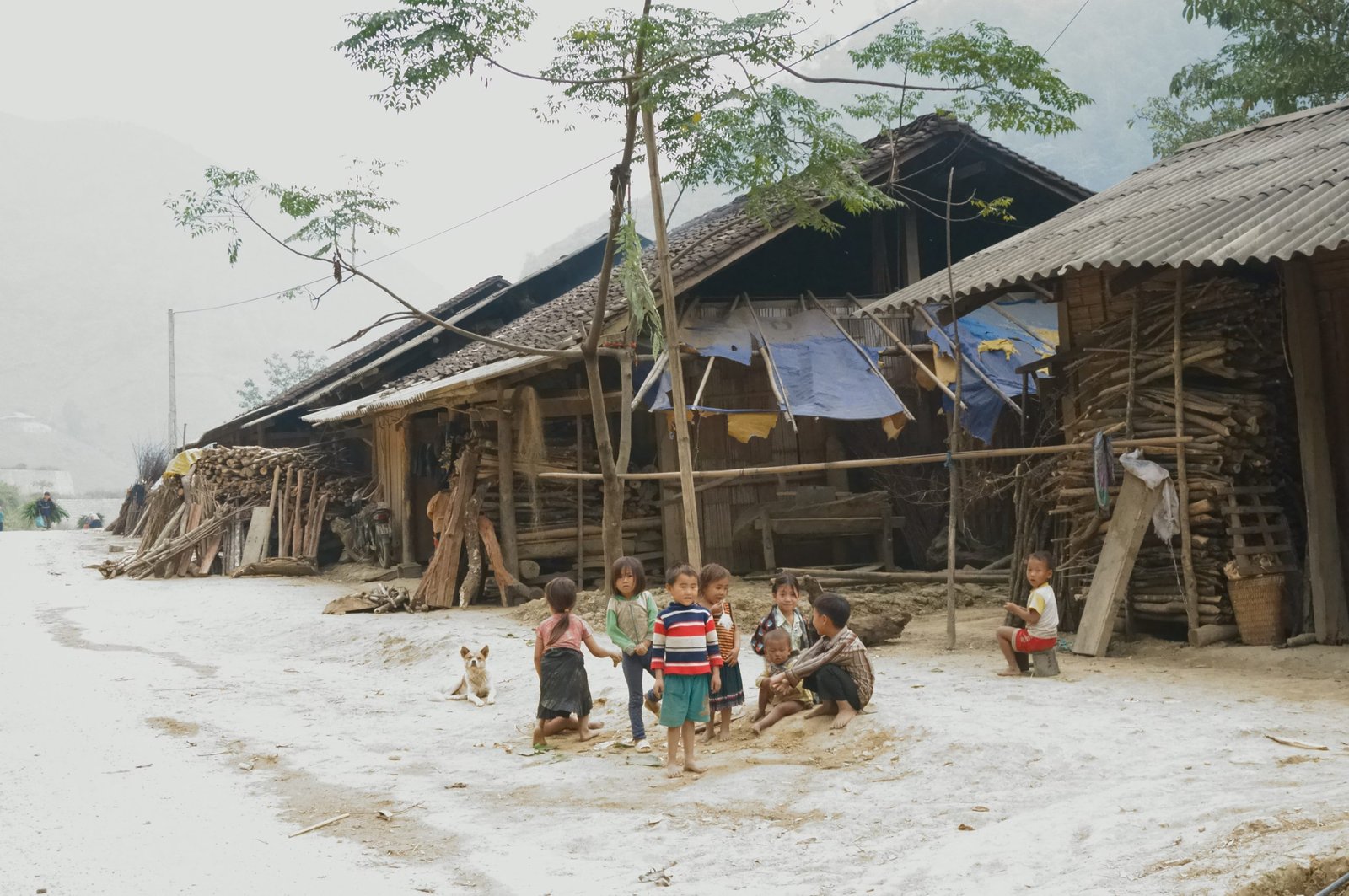 The Untamed Beauty: The Ultimate Northern Vietnam Hoang Su Phi Cycling Tour Guide