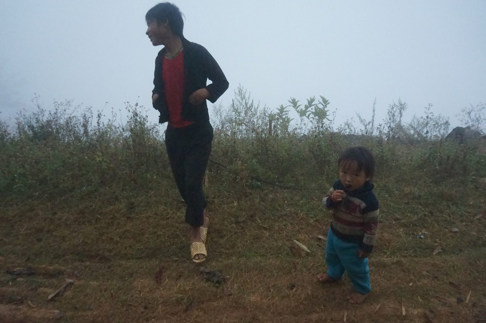 Elevating Your Adventure: The Definitive Guide to a Private Cycling Tour in North Vietnam