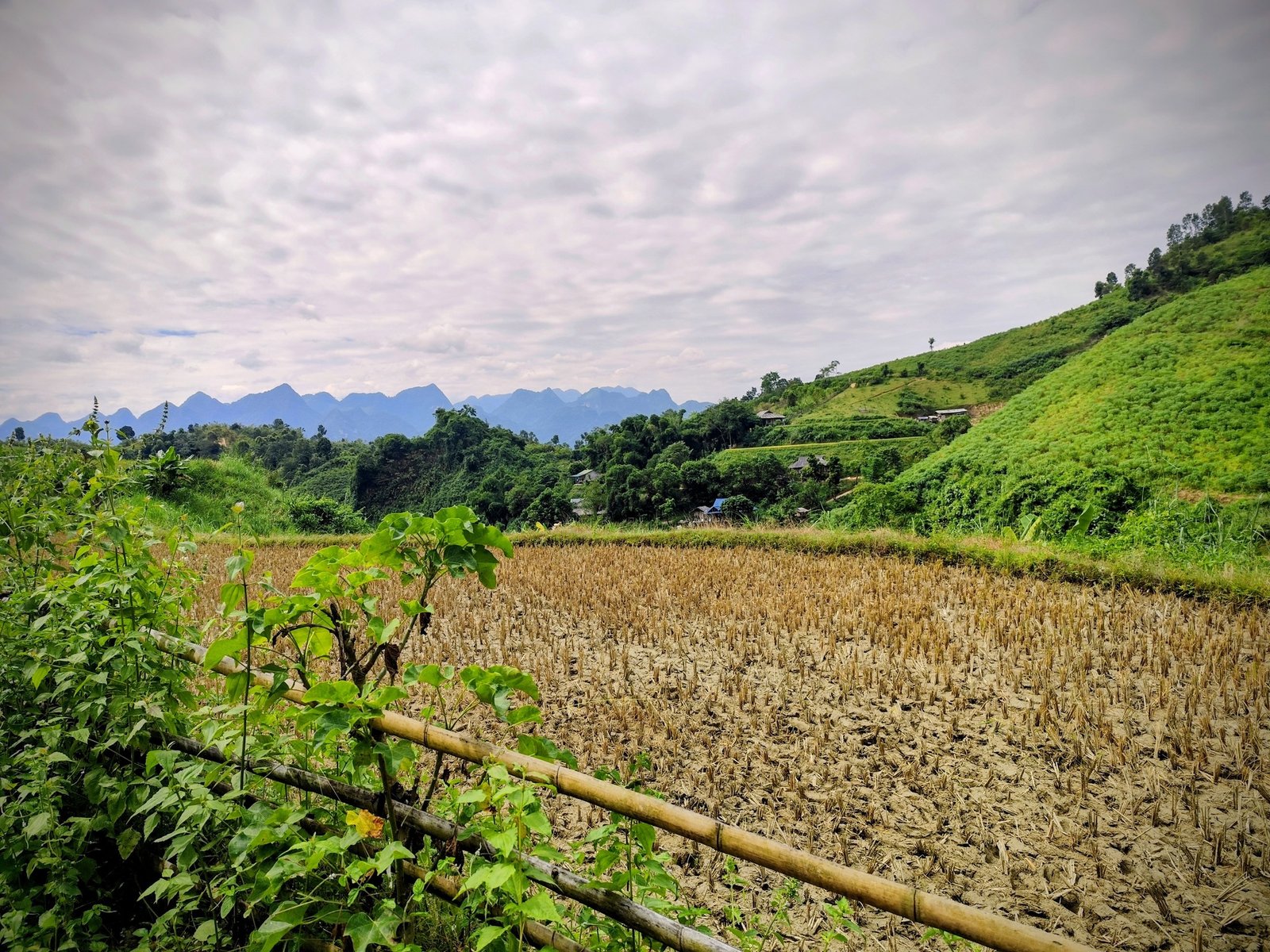 Bicycle Tour Hanoi Mai Chau Pu Luong 4 Days