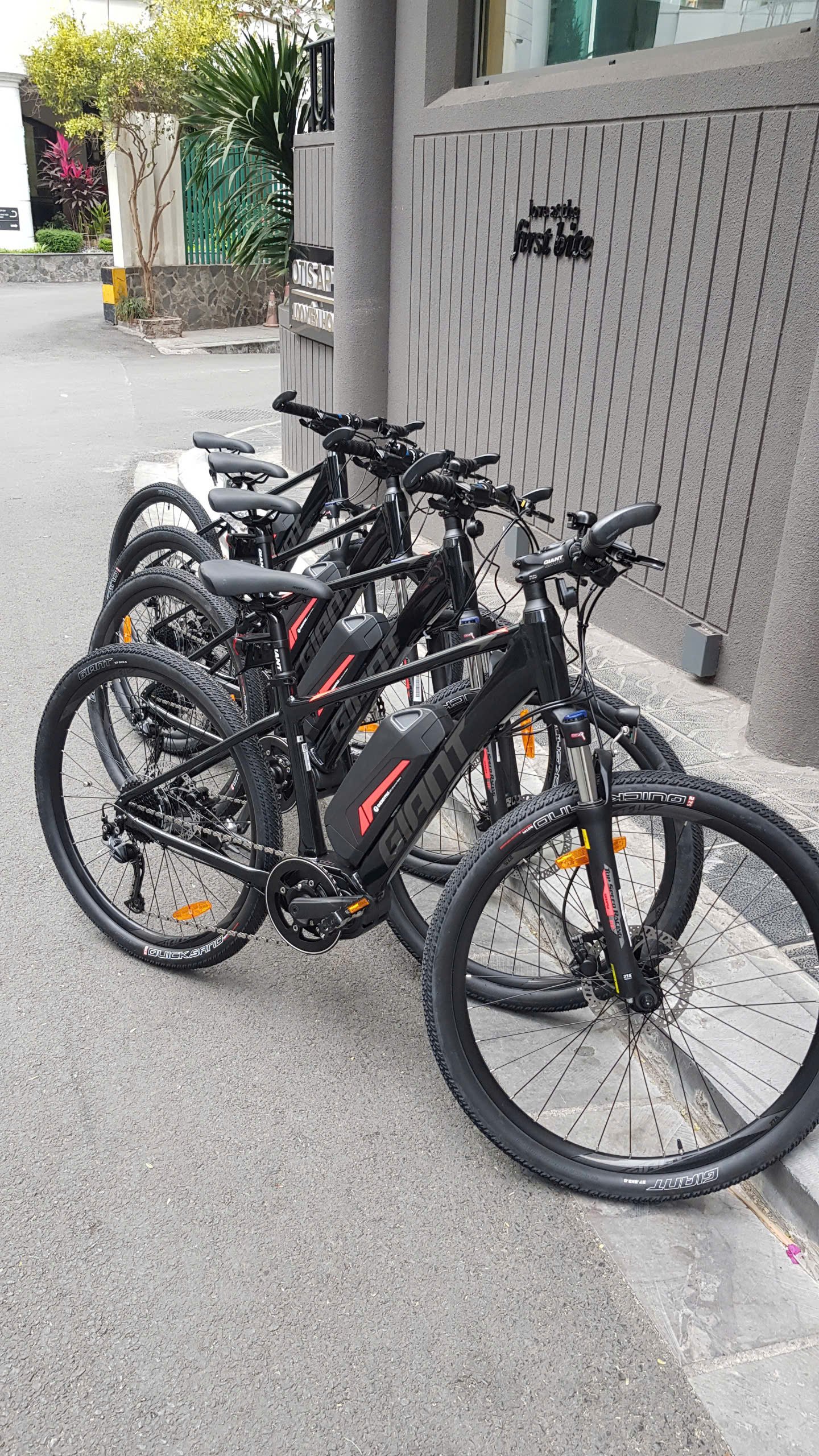 E-Bike Tours Ninh Binh & Cuc Phuong 2 Days