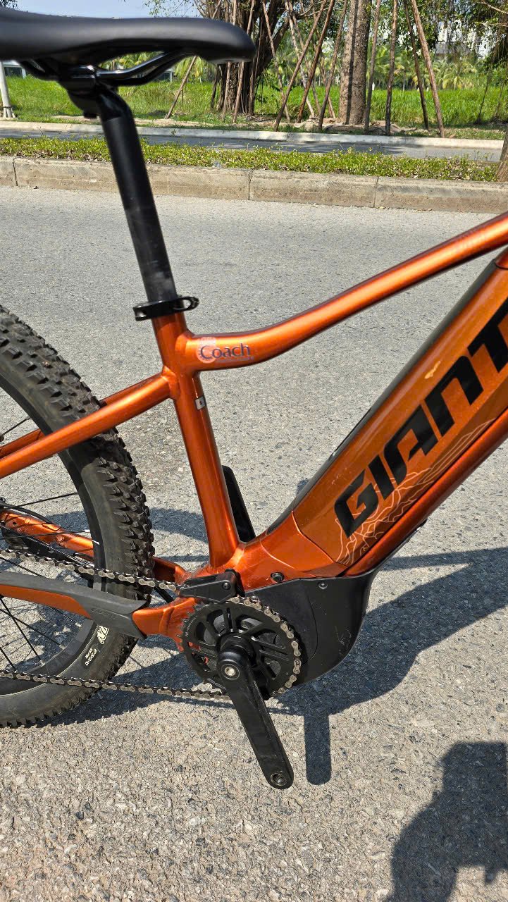 Beyond the Lanterns: The Definitive Guide to a Premium Hoi An E-Bike Experience