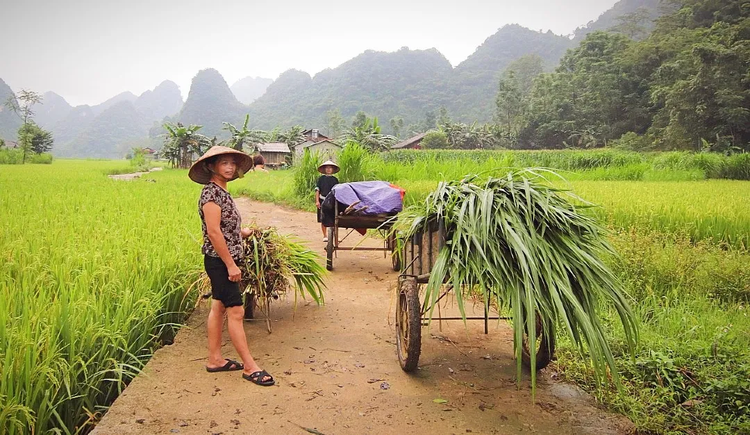 The Ultimate Freedom: Mastering the Private E-Bike Tour Cao Bang
