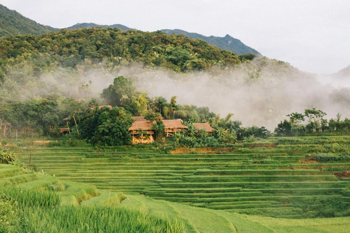 Green Tourism E-bike Pu Luong: The Ultimate Sustainable Escape into Vietnam’s Hidden Eden