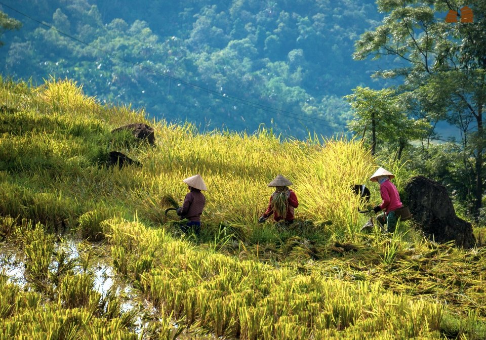 The Ultimate Guide to a Senior-Friendly Electric Bike Tour in Vietnam: Adventure Without Limits