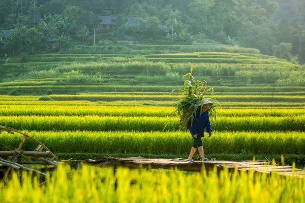 The Authentic Journey: Pu Luong Electric Bike Tour with Homestay Experience