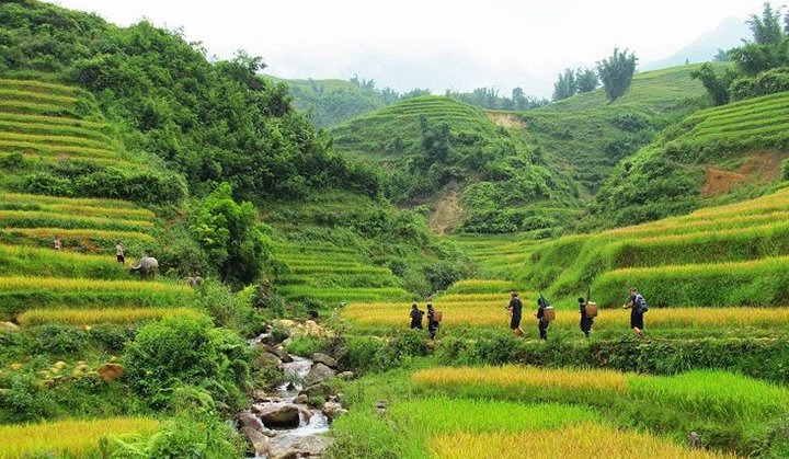 Indigo Trails: The Ultimate Hmong Village E-Bike Tour Sapa Experience