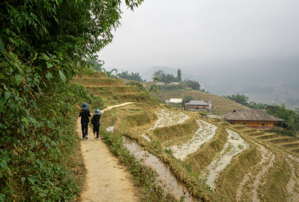 Beyond the Mist: The Definitive Guide to Red Dao Village Cycling in Sapa