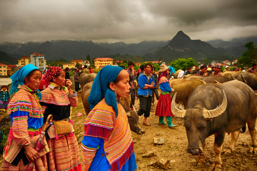 The White Plateau's Rhythm: A Comprehensive Guide to Cycling in Bac Ha Highlands