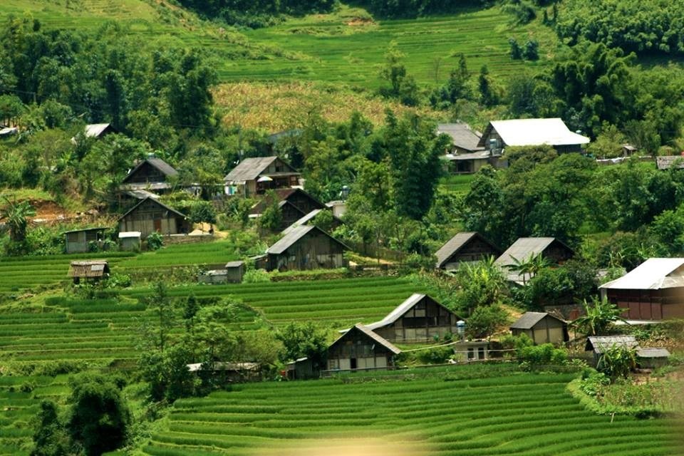 Immersion in the Emerald Wild: The Definitive Guide to Pu Luong Nature Cycling