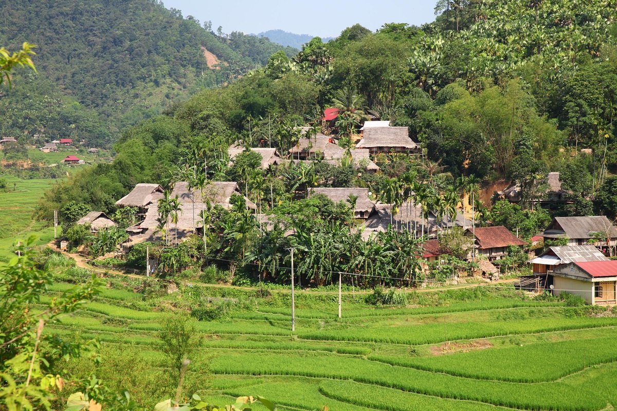 Best Bike Tours in Pu Luong Nature Reserve: The Ultimate Guide
