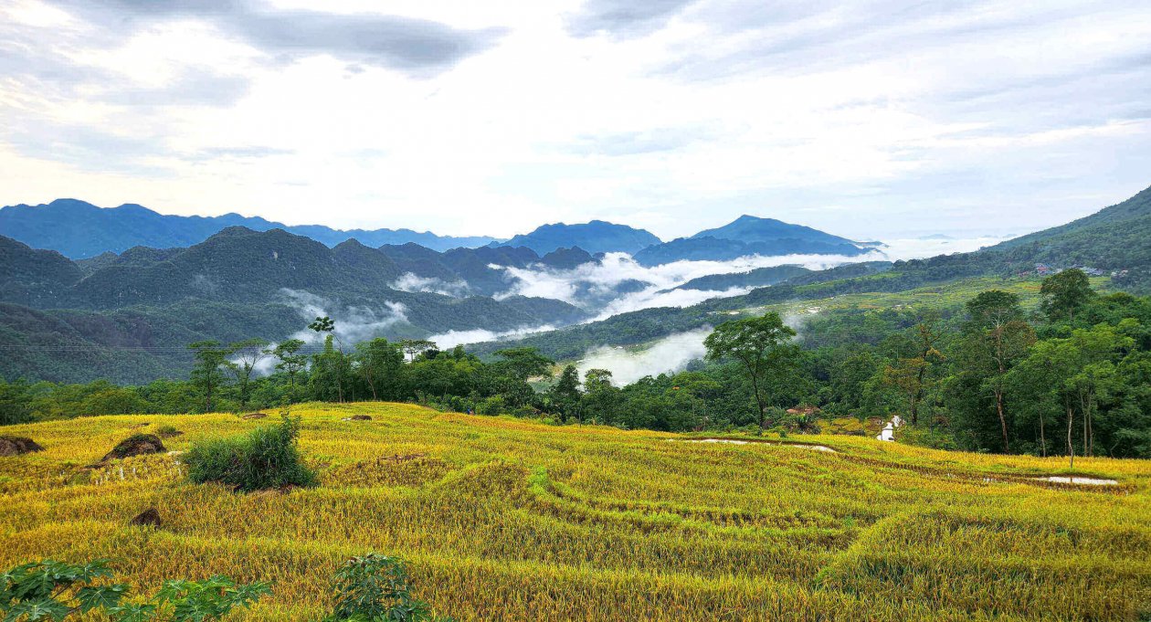 Explore Pu Luong by Electric Bike: The Ultimate Eco Guide