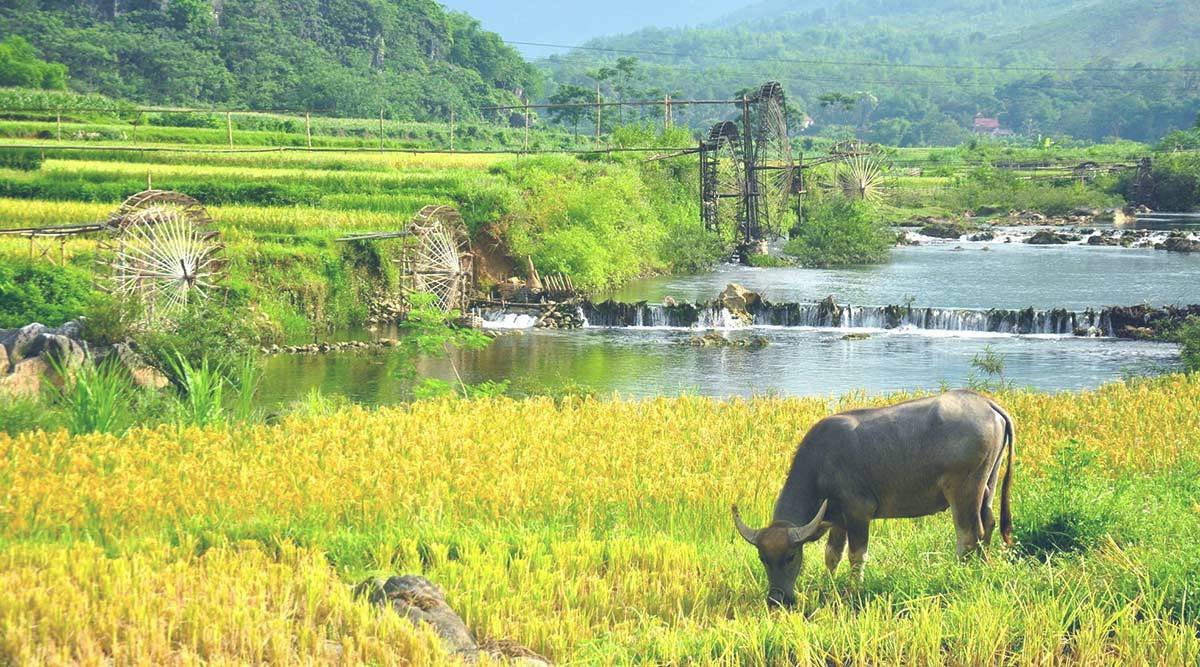 Electric Bike Holidays in Pu Luong: The Ultimate Highland Guide