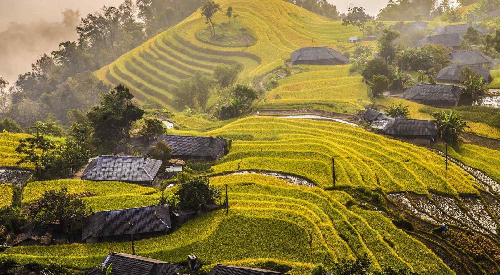 Best Bike Tours in Sapa Vietnam: Ultimate Cycling Guide