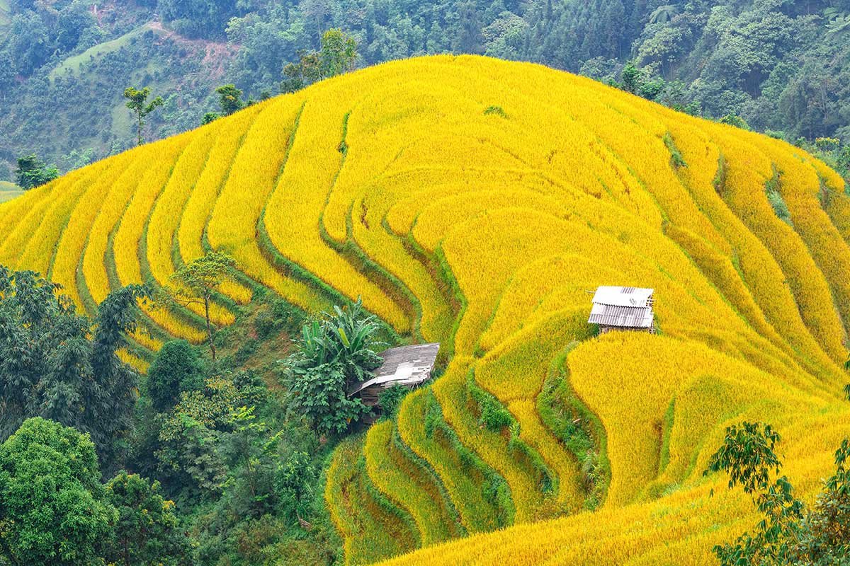 Scenic Bike Routes Around Sapa: Ultimate Cycling Guide