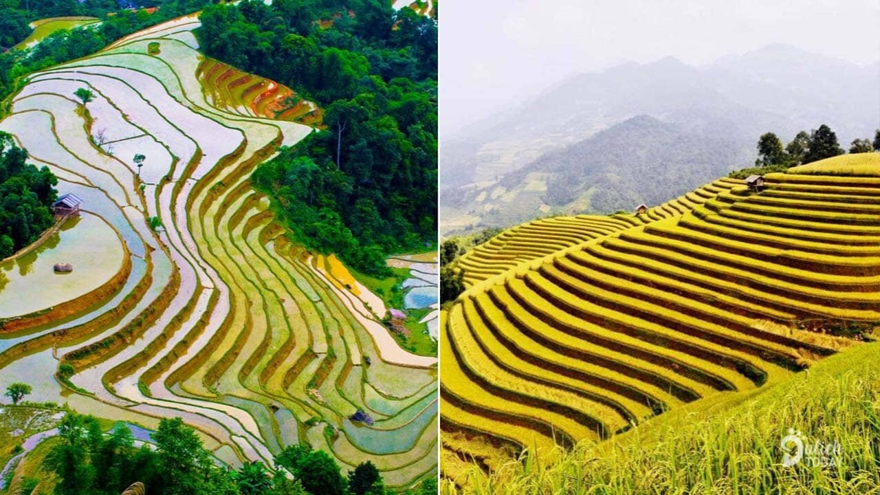 Hoang Su Phi E-Bike Tours: Ultimate Northern Vietnam Trail Guide