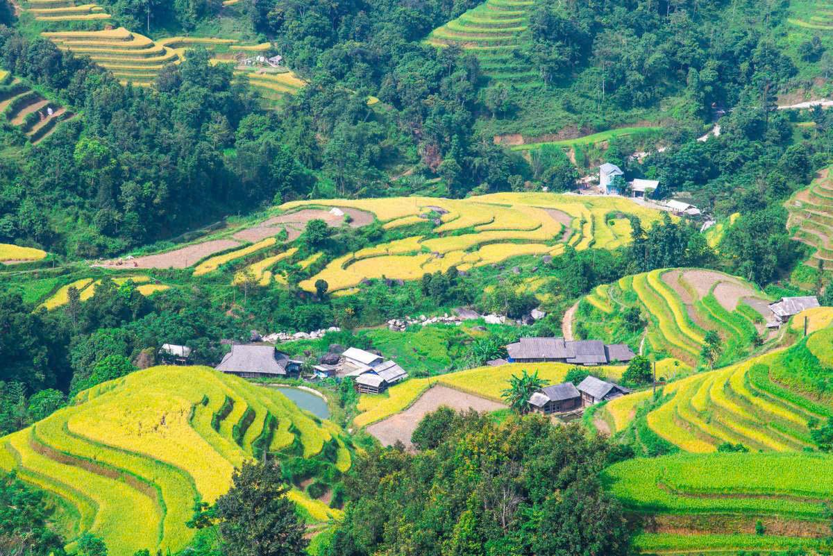 Mountain Roads Cycling Hoang Su Phi: Ultimate Guide to Ha Giang’s Terraced Highlands