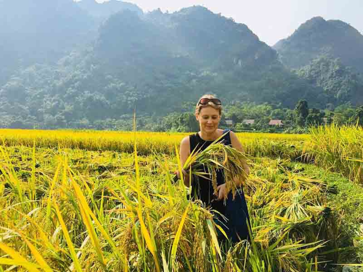 Valley of the Water Wheels: Pu Luong Nature Reserve Bike Tour: Pedal Breathtaking Terrace Fields