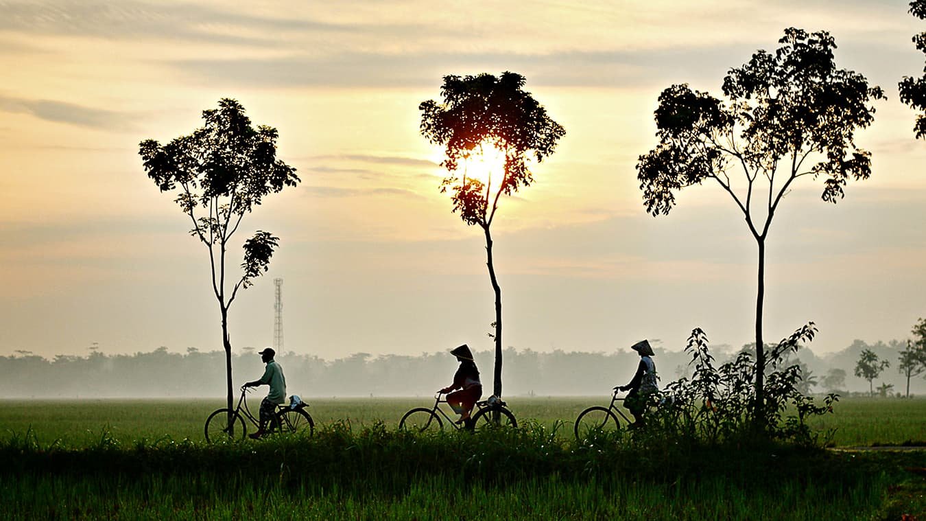 Mekong Delta Bike Tours: Ride Flat Village Paths & Traditional Monkey Bridges