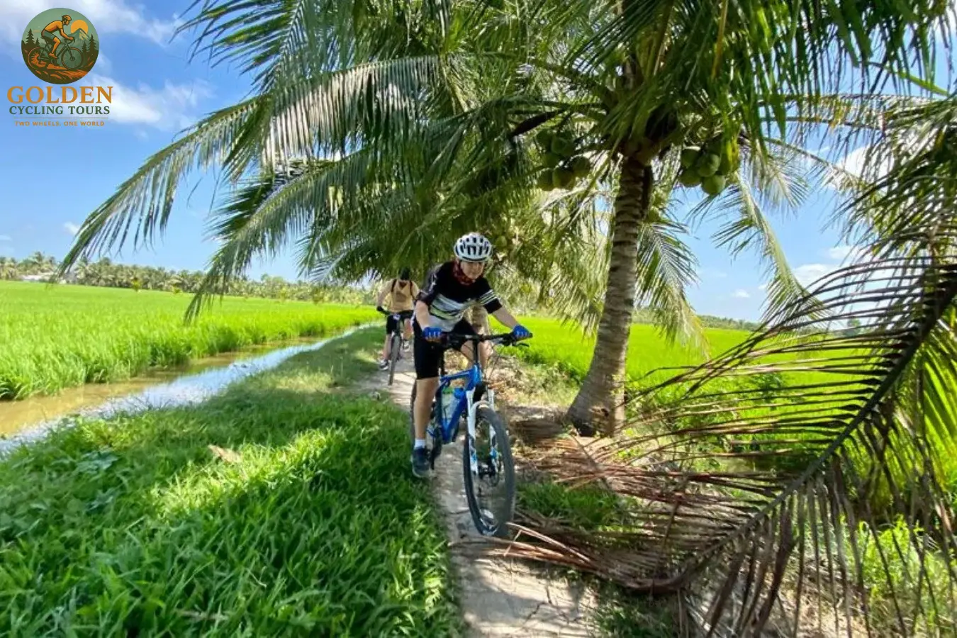 Mekong Delta Bike Tours: Ride Flat Coastal Paths to Ca Mau