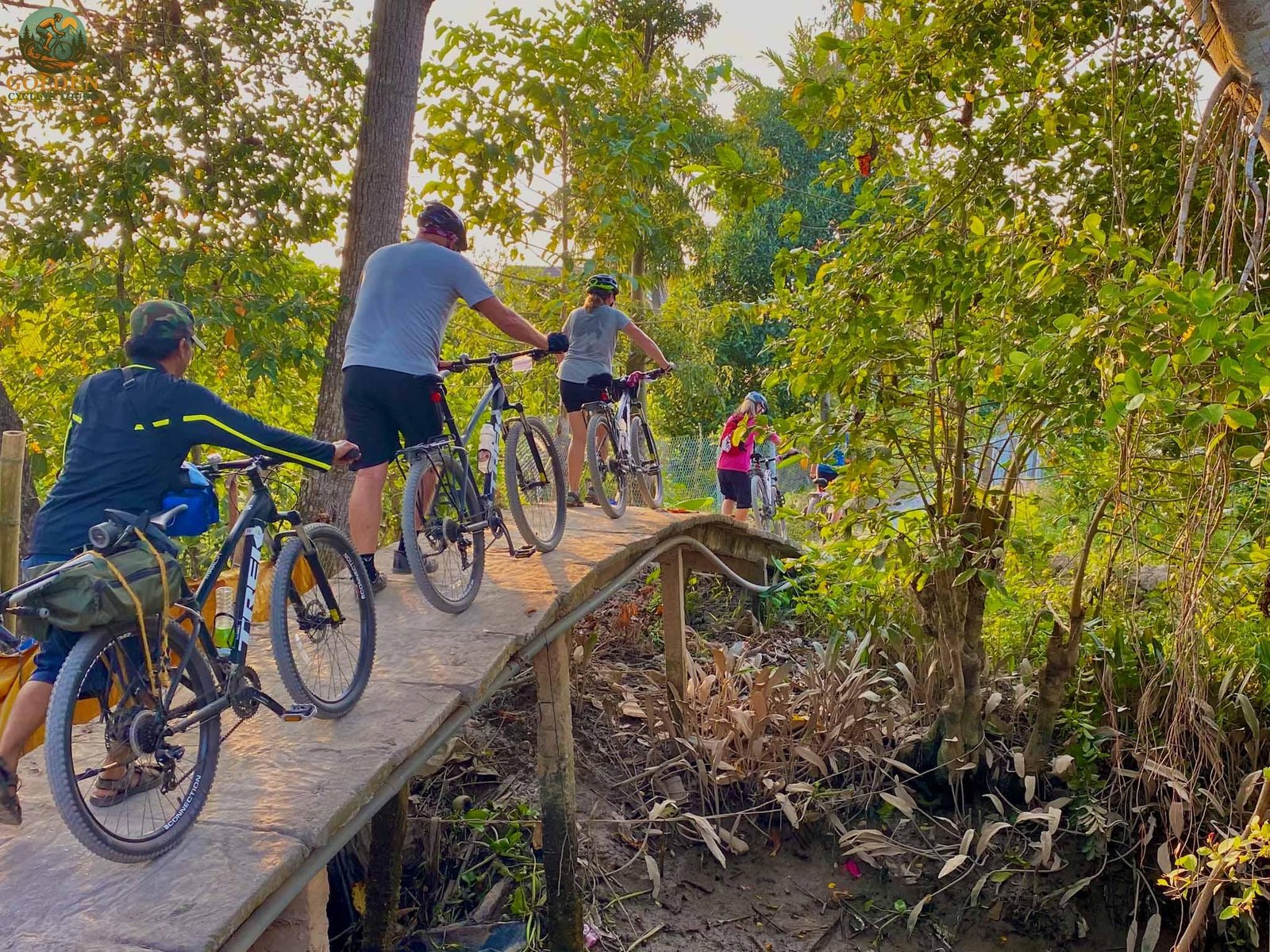 Top-Rated Local Operators for Unforgettable Mekong Delta Bike Tours