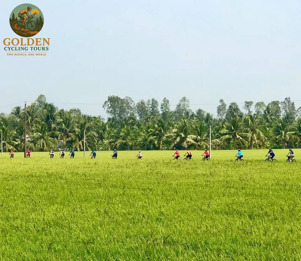 Can Tho Floating Markets: Beautiful Mekong Delta E-Bike Cycling Tours