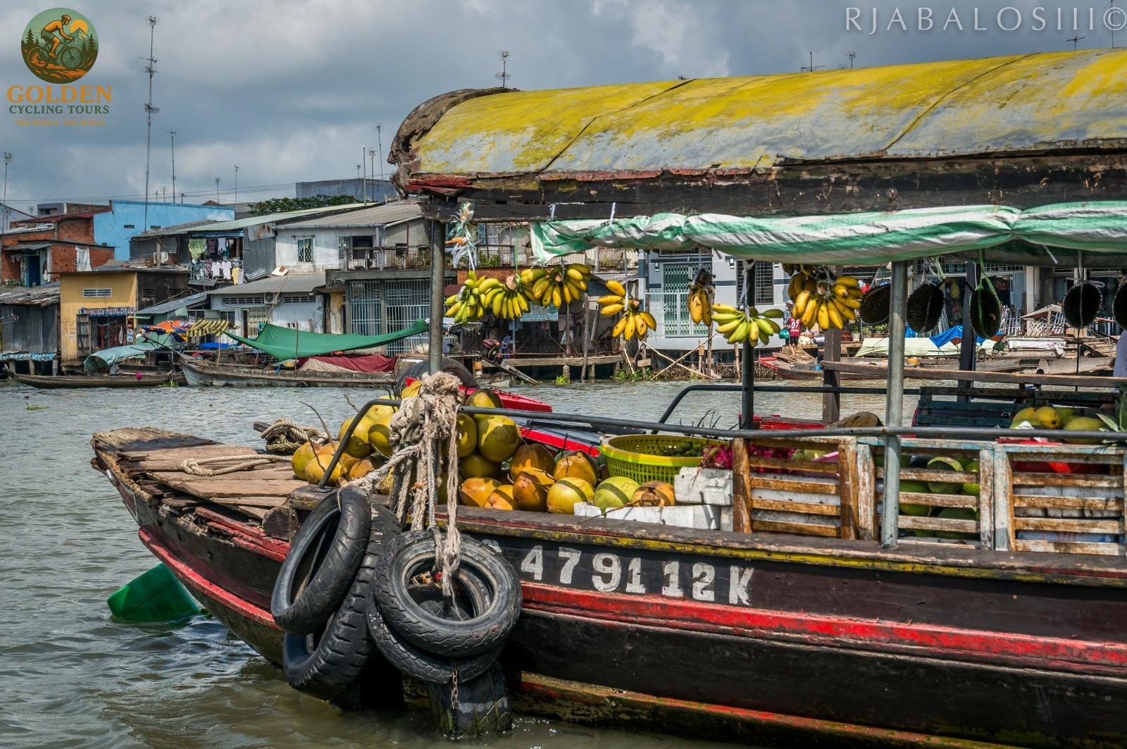 Mastering Mekong Delta E-Bike Tours: Complete Long-Distance Riding Guide