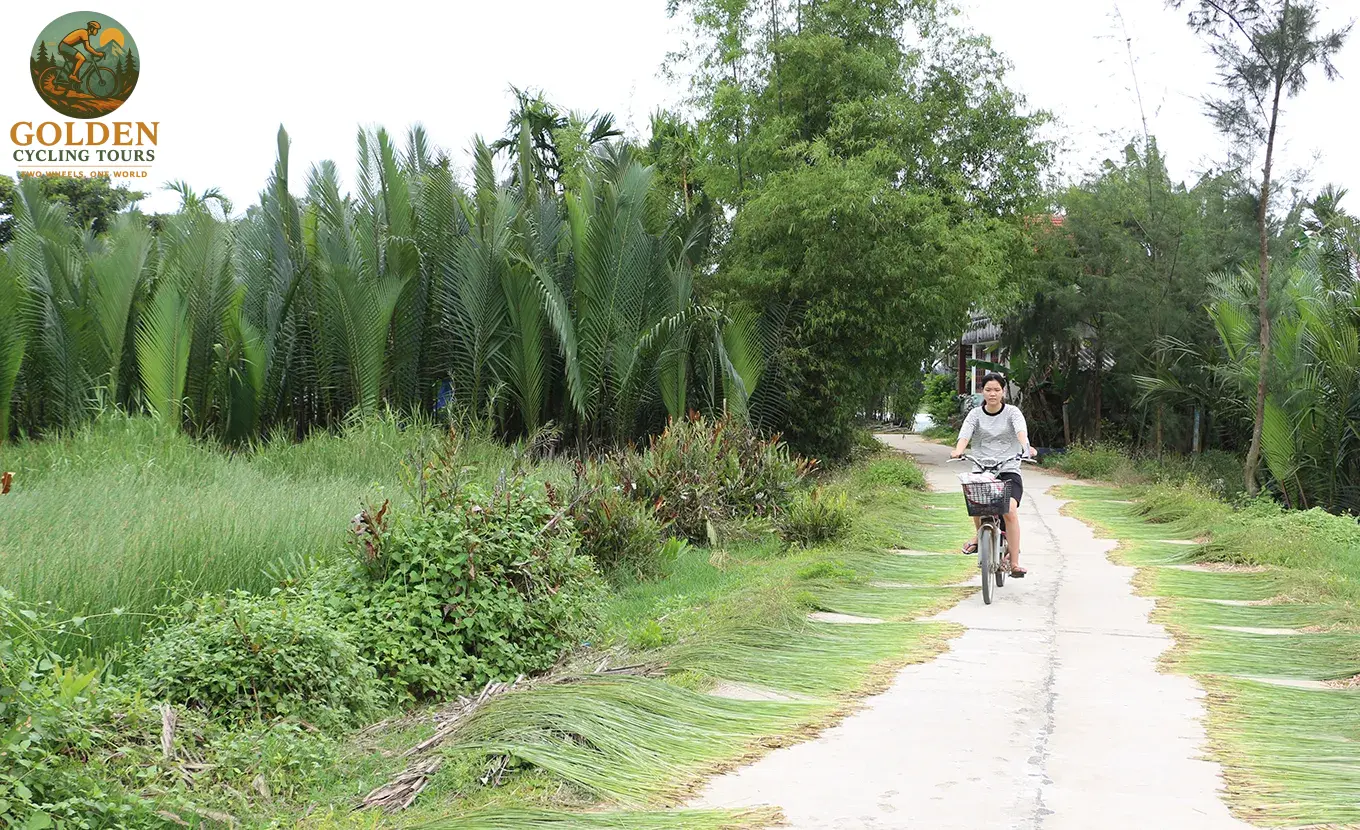 Teambuilding Reimagined: Corporate Mekong Delta E-Bike Cycling Tours