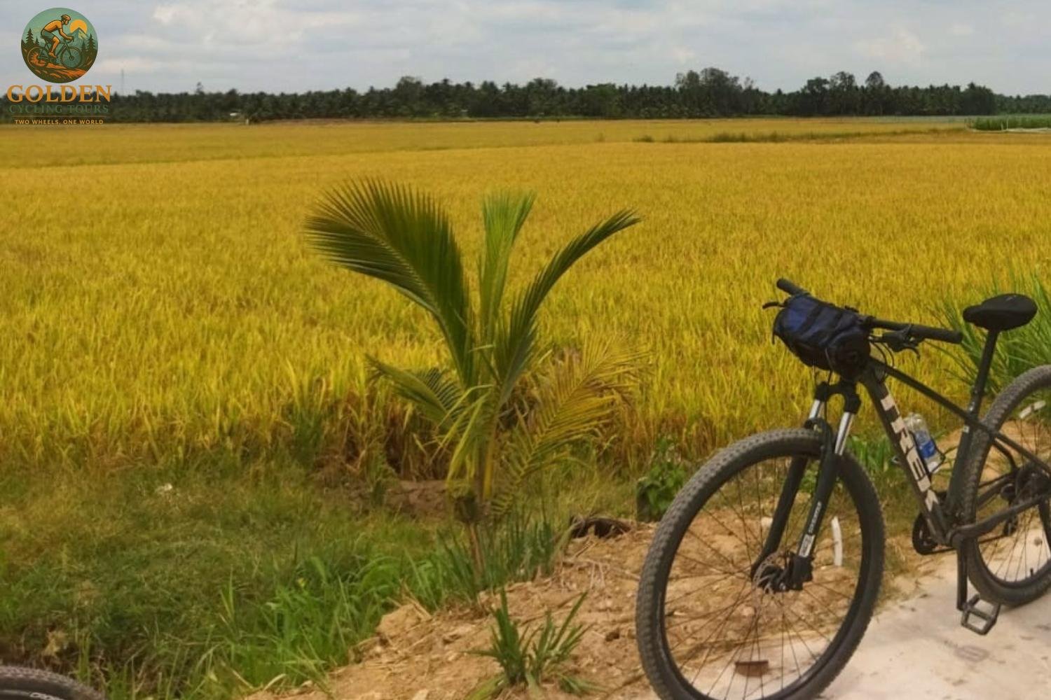 Mekong Delta Gravel Bike Tours: Ride Clay Paths & Orchard Singletracks