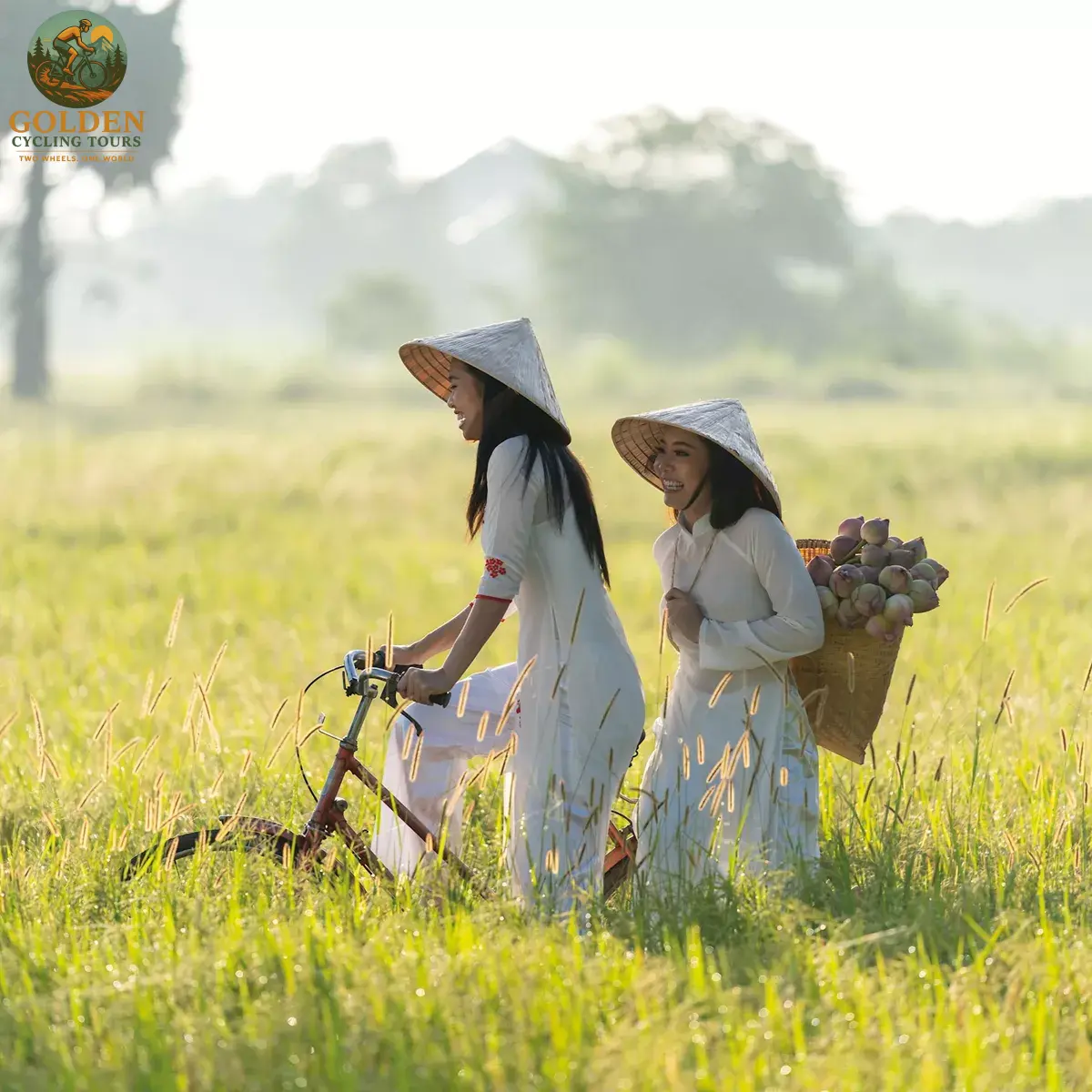 All-Inclusive VIP Travel: Gourmet Dining & Mekong Delta Cycling Luxury Tours