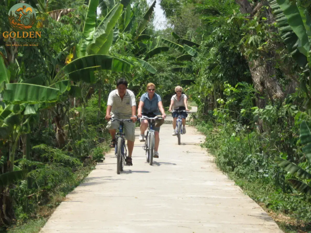 Small-Group Escapes: Intimate Cycling Tours Ho Chi Minh to Hue