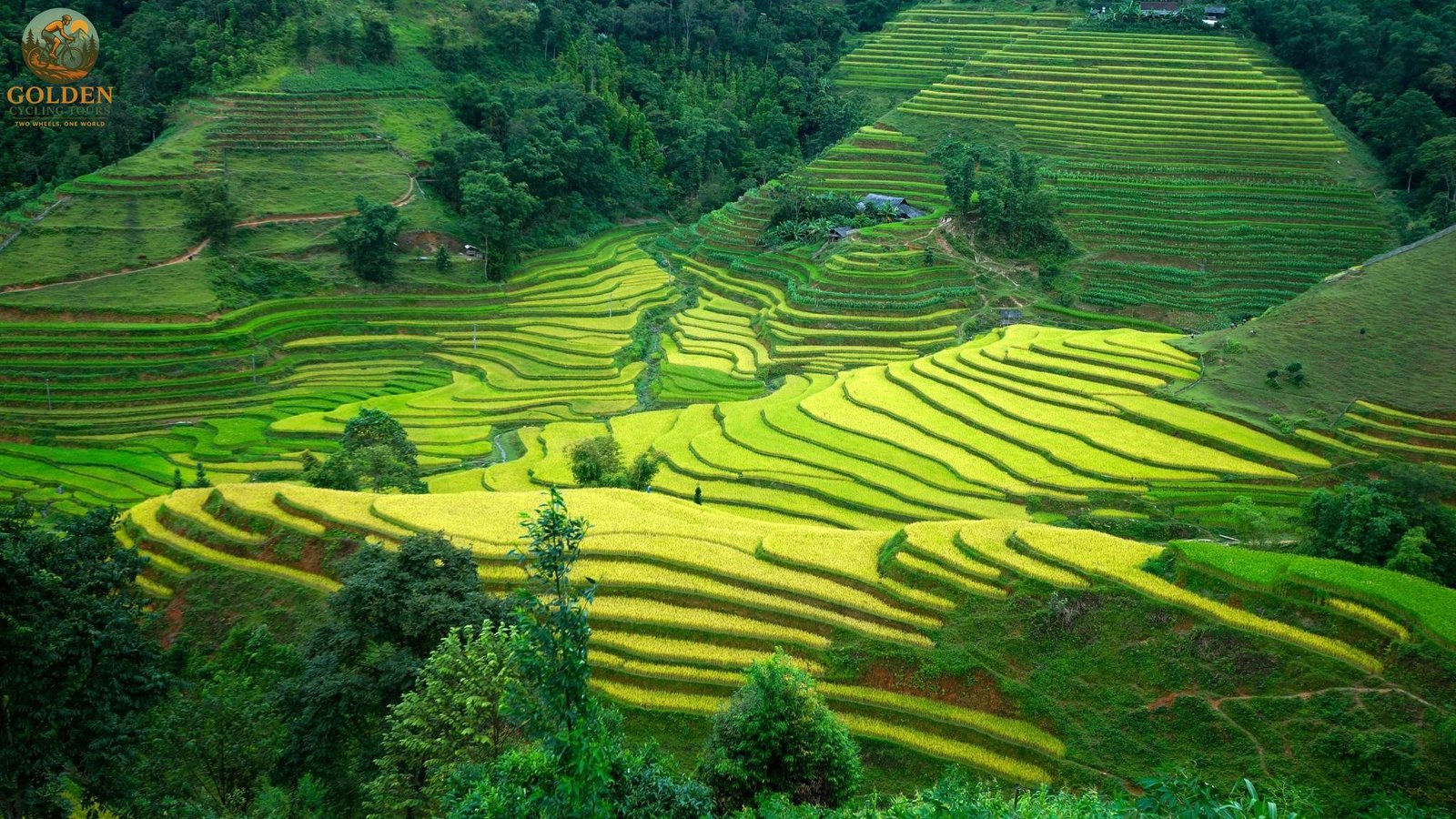 Fully Supported Road Bike Cycling Holidays North Vietnam with Mechanic Van