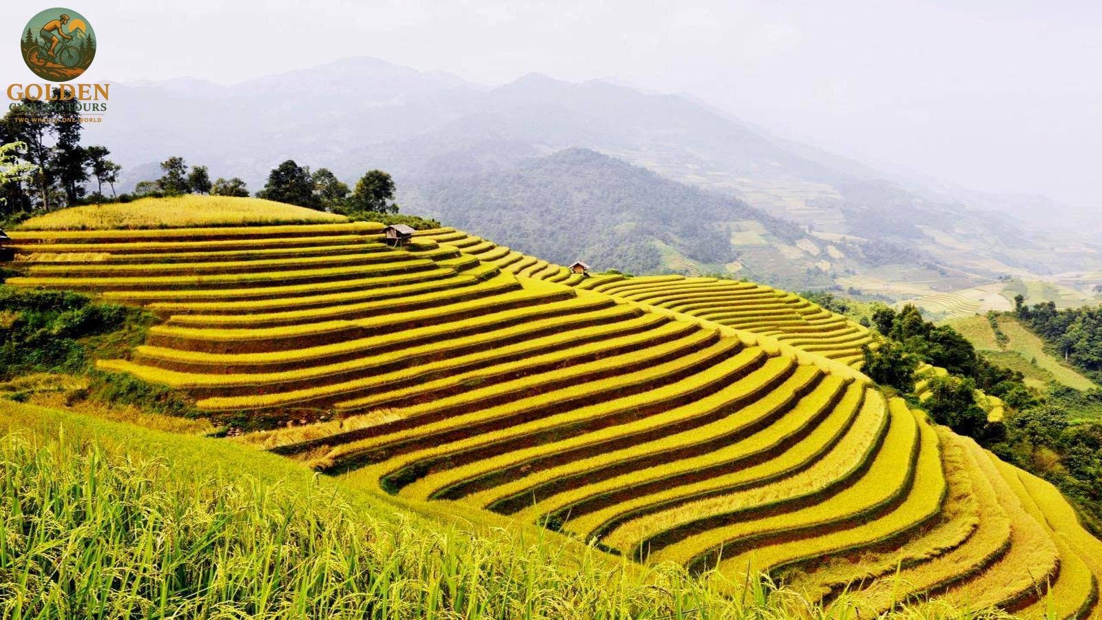 Luxury Cycling Tours Northern Vietnam: High-End Carbon Rentals & Wellness Spas