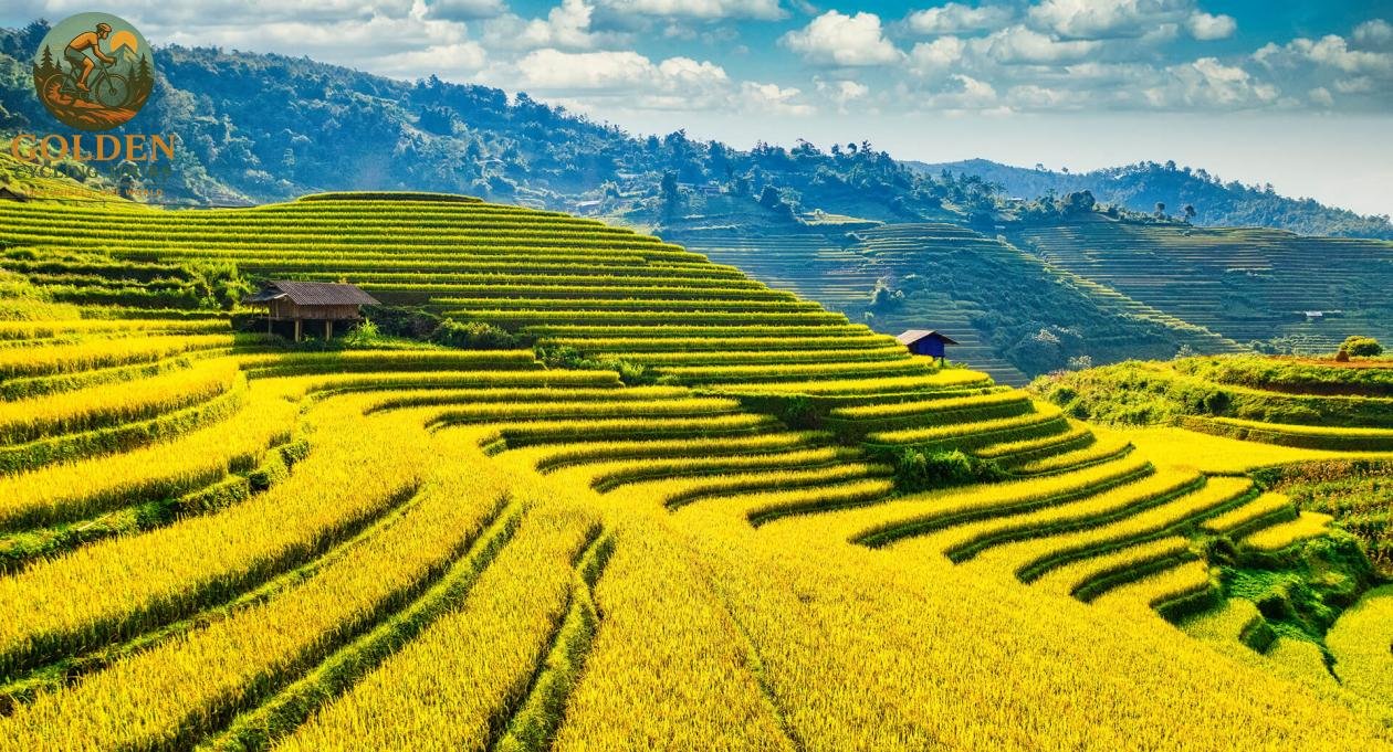 Luxury Private Bike Tour in Ha Giang | Golden Cycling Tours