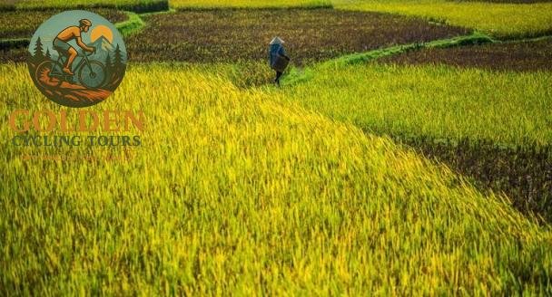 Mai Chau E-Bike Tour: Emerald Valley Riding