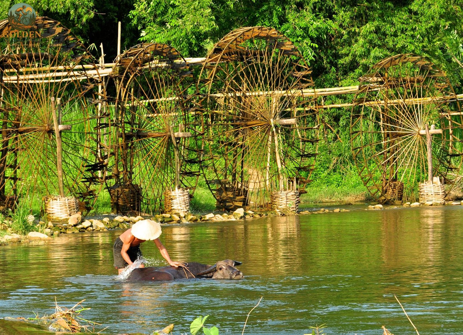 Hanoi to Pu Luong Cycling Tour: The Ultimate Northern Escape