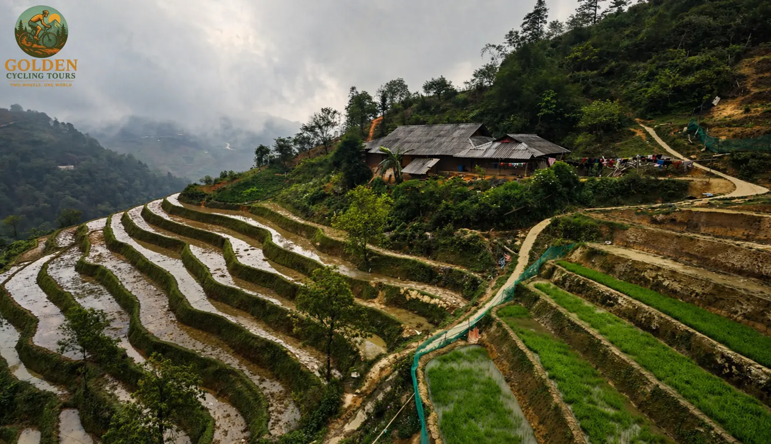 Vietnam E-bike Tour 10 Days: Ultimate Electric Cycling Guide