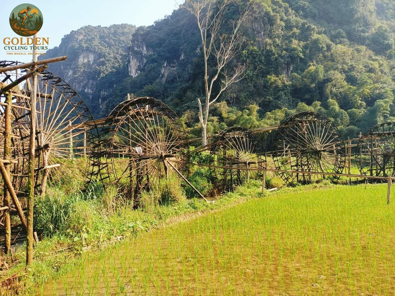 Golden Cycling Tours Review: Why Choose a Northern Vietnam Specialist