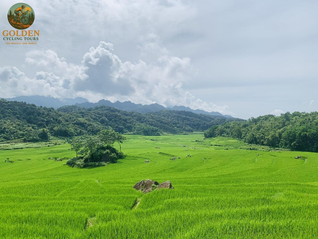 Golden Cycling Tours: The Northern Vietnam Cycling Specialist