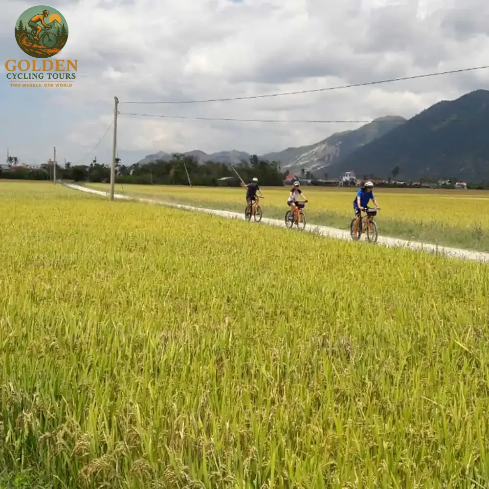 The Grand Vietnam Coastal Ride: 15-Day Hanoi to Hue Expedition by Golden Cycling Tours