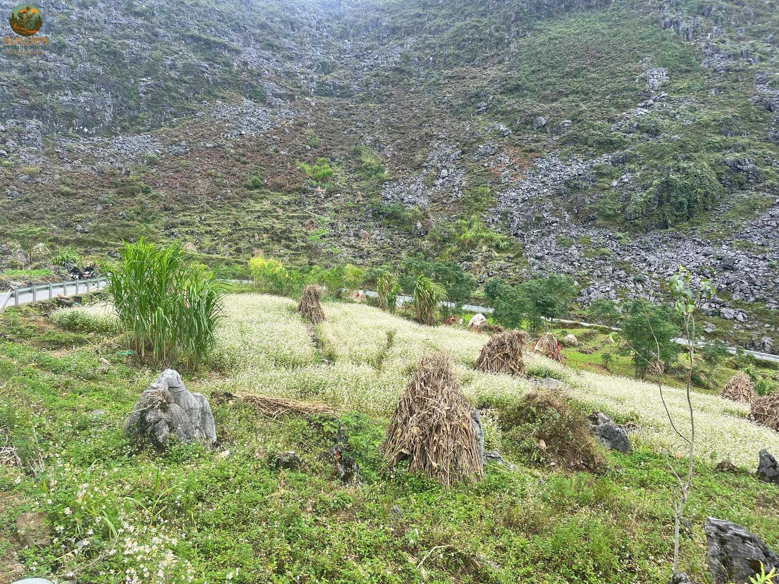 Ha Giang Loop Cycling Tour: The Complete Biking Itinerary