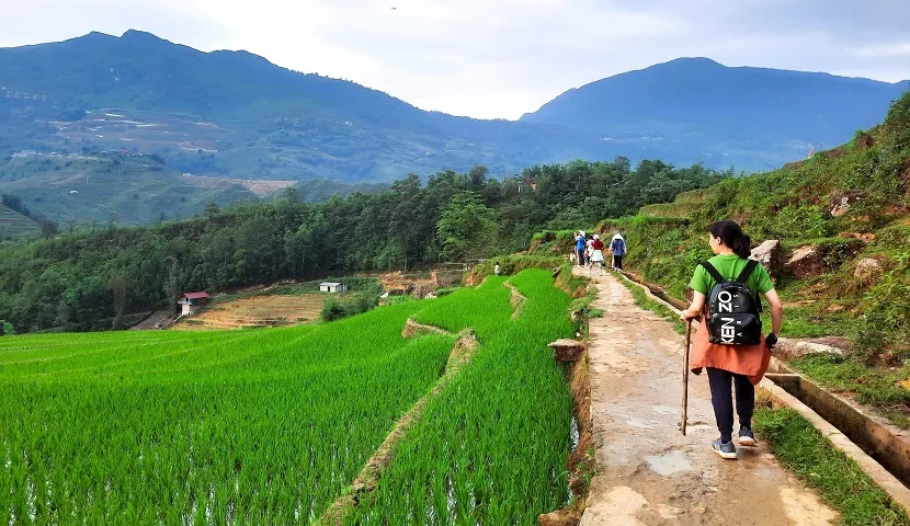 Muong Hoa Valley Unveiling the Serenity of A Sapa's Hidden Gem