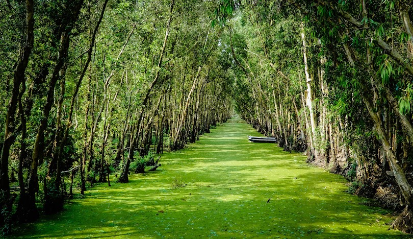 An Giang Cycling Vietnam