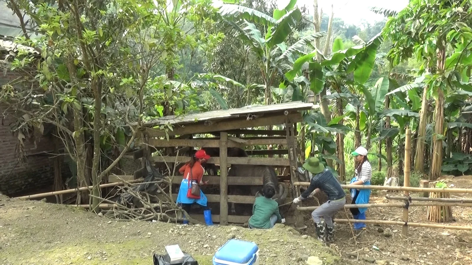 Pac Nam Bac Kan Cycling