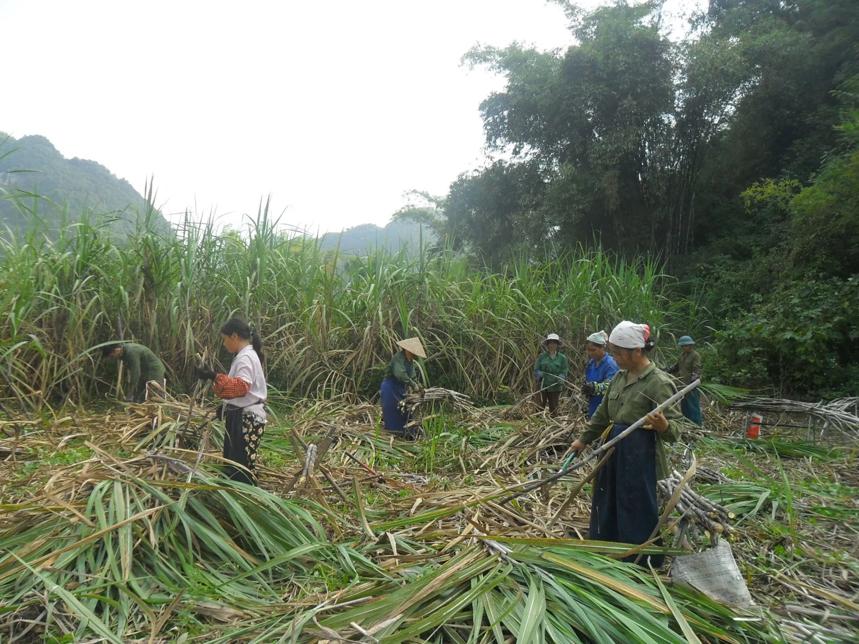 Hoa An Cao Bang Cycling