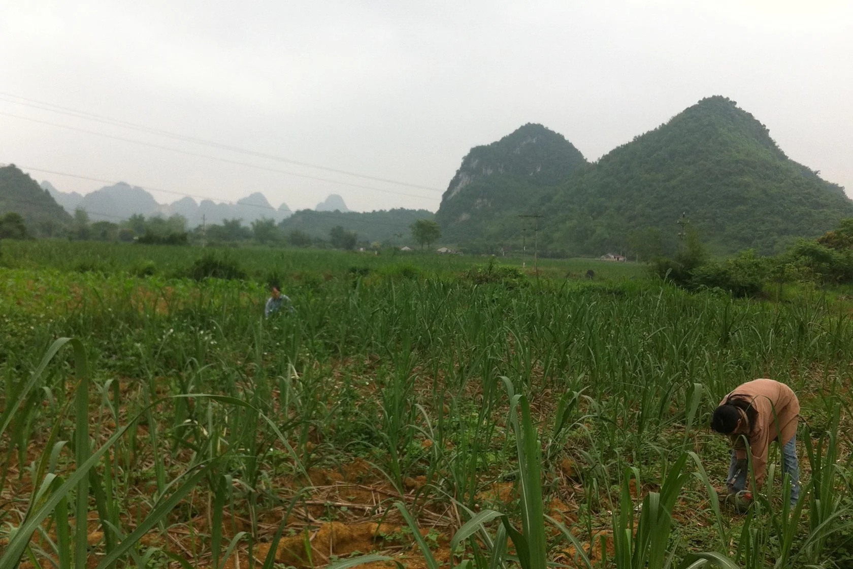 Phuc Hoa Cao Bang Cycling