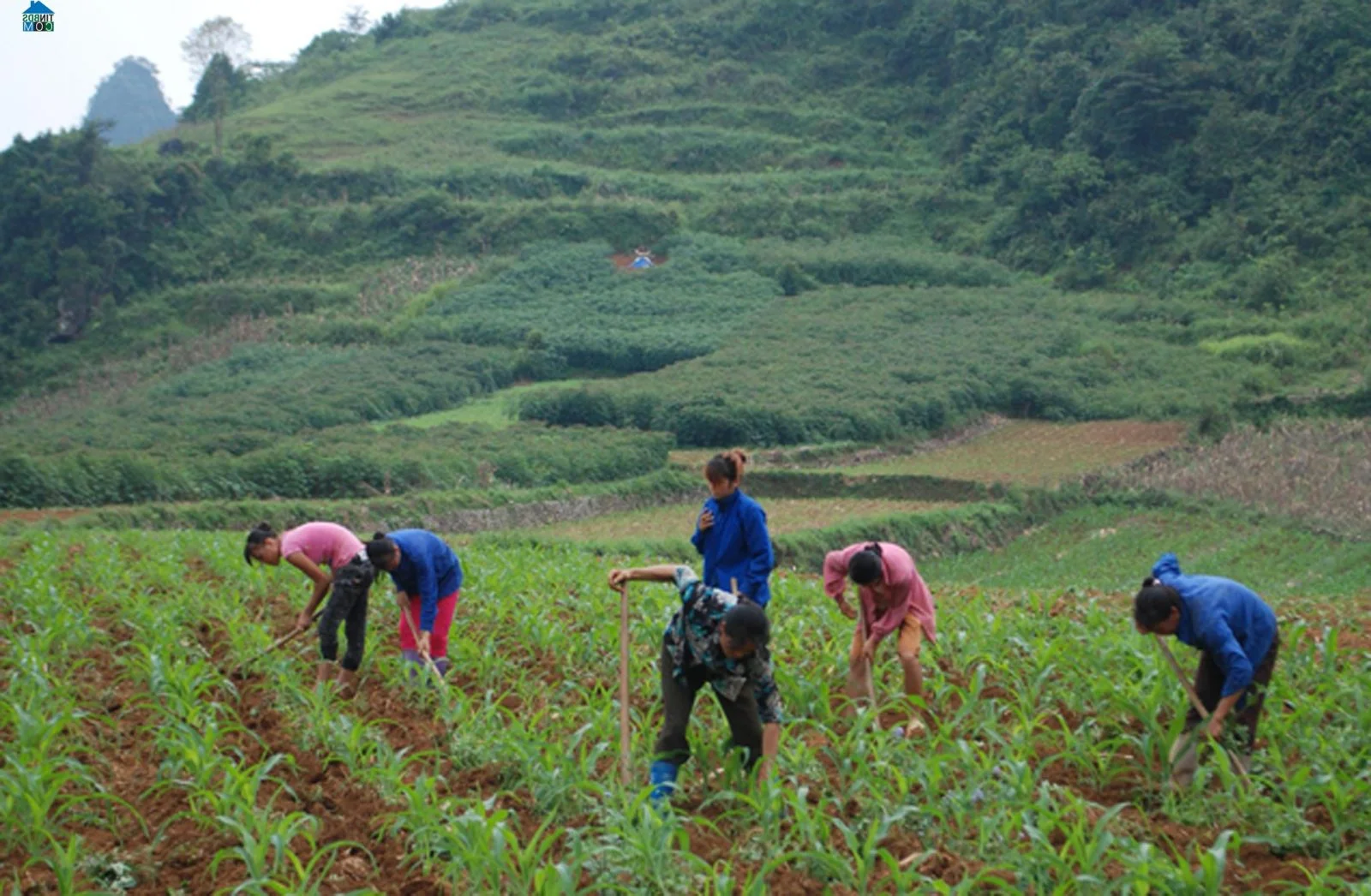 Tra Linh Cao Bang Cycling