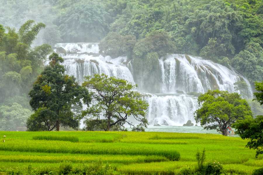 1738896379_Ban-Gioc-Waterfall.jpg